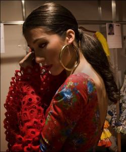 Flamenco Dancer