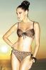 Click to view _hoops_04_t1.jpg