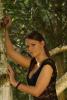 Click to view diane-a31496530_t1.jpg