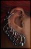 Click to view ear15_t1.jpg