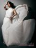 Click to view wedding-dress_t1.jpg