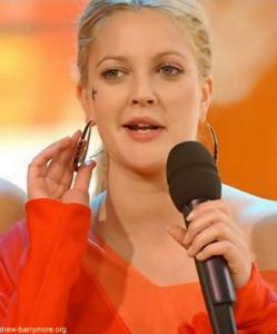 trl2.jpg