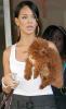 Click to view rihanna-shop-stella-mccartney_t1.jpg