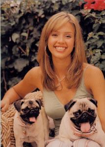 animal1-1.jpg